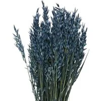 Trockenblume Blauer Deko-Hafer Trockenblumen Getreide 68cm, Florists Products, Höhe 1 cm