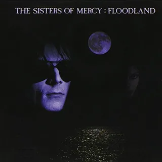Floodland