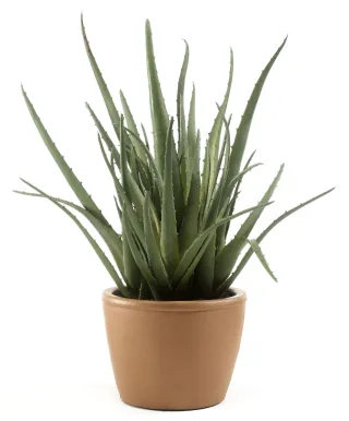 Kunstpflanze Aloe Vera