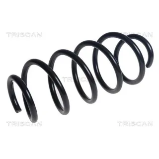 Triscan Feder vorne VW Passat B6 B7 875029488