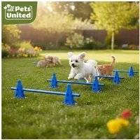 all Pets United Trainingshilfe All Pets United Trainingsset Hund & Kinder, Hunde Sport & Lernhilfe