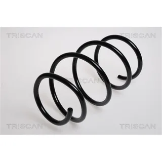 Triscan Feder vorne BMW 3er 5er 87501142