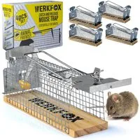 Goods+Gadgets Lebendfalle GOODS+GADGETS Wiederverwendbar Lebendfalle Mäusefalle–Tierfreundlich, Tiefreundliche Falle wiederverwendbar
