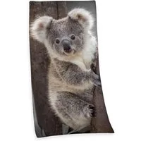 Herding Handtücher Velourstuch Duschtuch Badetuch Strandtuch mit Koala 75 x 150cm, (1 Duschtuch, 1-St), Langlebig