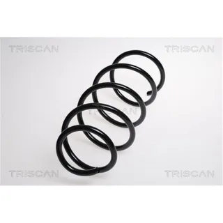 Triscan Feder vorne BMW 1er E81 3er E90 87501183