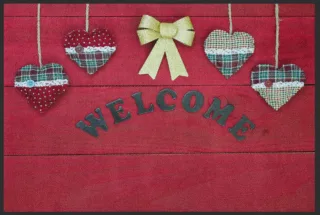 Fussmatte 4027 | Größe: 60 cm x 45 cm