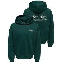 ONLY & SONS Sweatshirt ONSPARKS GALLERY RLX SWEAT HOODIE NOOS Baumwollmischung, regular fit
