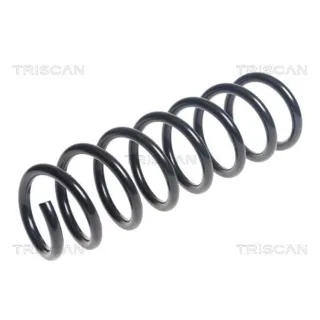 Triscan Feder vorne BMW 5er F10 875011176