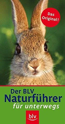 Der BLV Naturführer für unterwegs: Wälder Wiesen Felder Feuchtgebiete Küste Alpen. Sonderteile: Früchte der Bäume und Sträucher Raupen