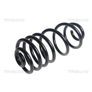 Triscan Feder hinten Citroen Jumpy Peugeot Expert 875028314