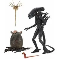 NECA Actionfigur Aliens 7'' Scale Actionfigur Ultimate Big Chap Xenomorph