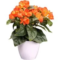 Kunstblume Begonie Blühpflanze, Creativ green, Höhe 28 cm, mit farbenfrohen Blüten