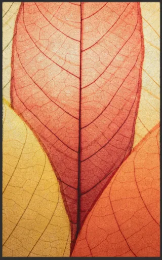 Fussmatte 7532 | Größe: 60 cm x 90 cm