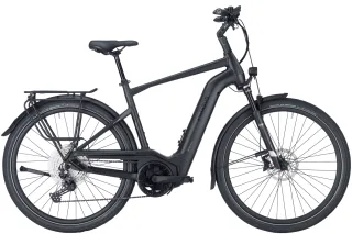 E-Bike  - Pegasus Strong Evo 11 Lite   - 60 cm