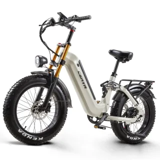 [EU Direct] CEAYA A20PRO Electric Bike 48V 20AH Battery 500W Rated Power 1000W Peak Power Motor 25Km/h Top Speed Oil Bra