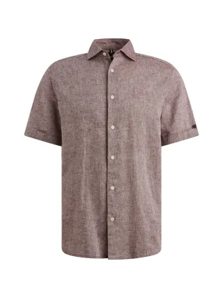 Vanguard - SummerLin catawba grape - Gr. - XXXL