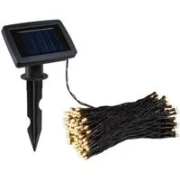 Paulmann LED Gartenstrahler Solar Lichterkette Aurinka IP44 3000K 0lm/m Schwarz, LED fest integriert, Warmweiß