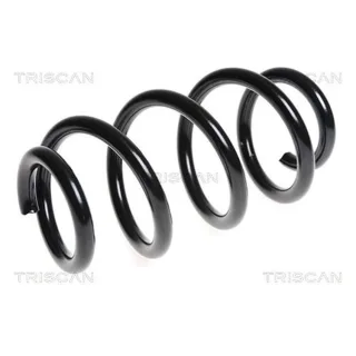 Triscan Feder vorne Audi A4 A5 A6 875029233