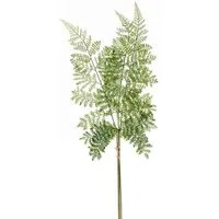 Kunstpflanze Blätterzweig Farn, Emerald, Höhe 58 cm, Bündel, Grün, Farn, H: 58cm