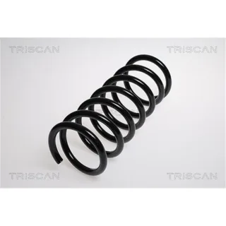Triscan Feder hinten Ford S-Max 875016057
