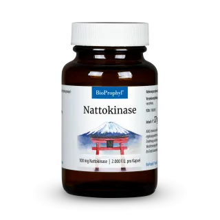 Nattokinase
