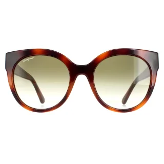 Salvatore Ferragamo Cat Eye Damen Schildkröte Grün SF1031S
