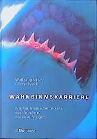 Wahnsinnskarriere: Wie Karrieremacher tricksen was sie opfern wie sie aufsteigen [Gebundene Ausgabe] [1999] Schur Wolfgang Weick Günter