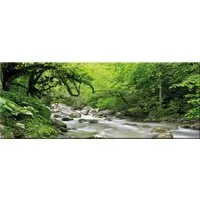 artissimo Glasbild Bild aus Glas 80x30 cm / Wandbild Querformat / Wanddeko modern, Landschaft: Wald mit Bachlauf in Grün