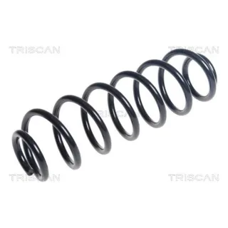 Triscan Feder Hinten Ford Tourneo Transit 875016156