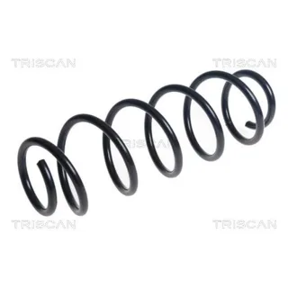 Triscan Feder hinten Mercedes B-Klasse W245 875023226