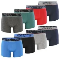 Phil & Co. Boxer Herren Männer Retroshorts Boxershorts Trunks (8-St)