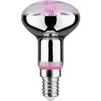 Paulmann Pflanzenlampe Paulmann LED-Pflanzenlampe Wachstum 230 V E14 4 W Bernstein 1 St.