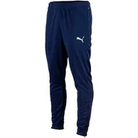 PUMA Trainingshose Puma Herren Trainingshose teamRISE Poly Training Pants 657390