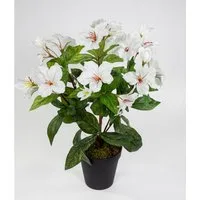 Kunstblume Hibiskus 40cm im Topf ZF Kunstpflanzen Blumen künstlicher Eibisch Hibiskus, Seidenblumen Roß, Höhe 40 cm, Weiß-Creme