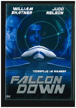 Falcon Down [DVD] [2006]
