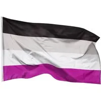 PHENO FLAGS Flagge Asexuelle Flagge Stolz LGBT 90x150cm Fahne Asexuellefahne (Hissflagge für Fahnenmast), Inkl. 2 Messing Ösen