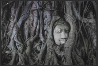 Fussmatte Buddha 6105 | Größe: 60 cm x 45 cm