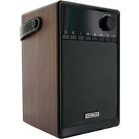 Schwaiger 715736 Radio (FM, 5 W, Weckfunktion)