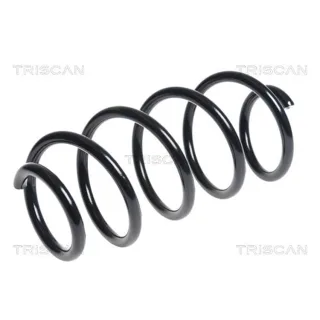 Triscan Feder vorne Seat Alhambra VW Sharan 875029366