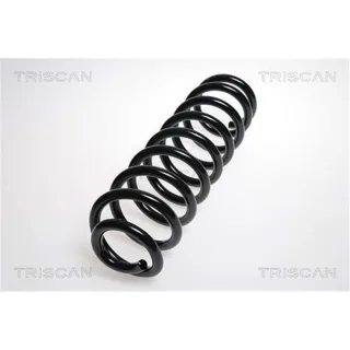 Triscan Feder vorne Mercedes M-Klasse R-Klasse 875023113