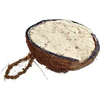 KLASEBO® Futterspender Wildvogelfutter 0.18kg Kokosnuss, Halbe Kokosnuss für Wildvögel