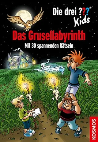 Die drei ??? Kids Das Grusellabyrinth: Mit 30 spannenden Rätseln [Gebundene Ausgabe] [2013] Blanck Ulf Saße Jan