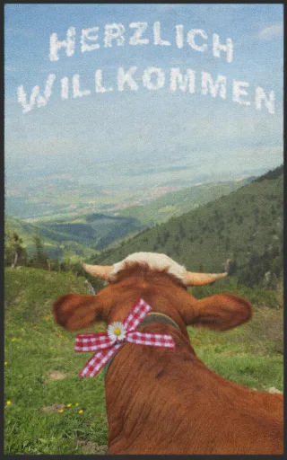 Fussmatte 7000 | Größe: 60 cm x 90 cm