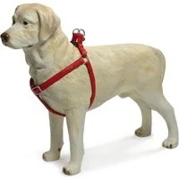 Beeztees Hunde-Geschirr Hundegeschirr Mac Leder rot