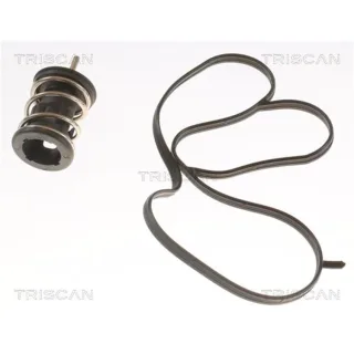 Triscan Thermostat Audi A3 Skoda Rapid Superb VW Golf Passat 1,4