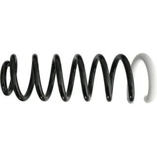 Sachs Feder hinten Citroen C5 994773