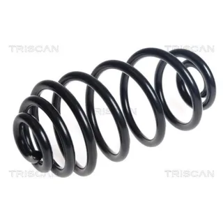 Triscan Feder hinten Mercedes Citan 875023222