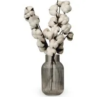 Trockenblume Deko Baumwollzweig – Trockenblume für Vase & Deko, Trockenblumenstrauß Baumwollzweig, Nina-Maria's Deko Gold, Höhe 53 cm, jeder Stiel hat 10 Köpfe