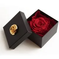 Kunstblume 1 Infinity Rose haltbar 3 Jahre ewige Rose in Box Rose, ROSEMARIE SCHULZ Heidelberg, Höhe 6.5 cm, Echte Rose haltbar bis zu 3 Jahre, Made in Germany