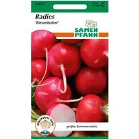 SAMEN PFANN Gemüsesamen Radies, Riesenbutter - Radieschen-Samen Saatgut Samen, Raphanus sativus